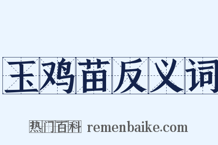 玉鸡苗反义词是什么意思的图片